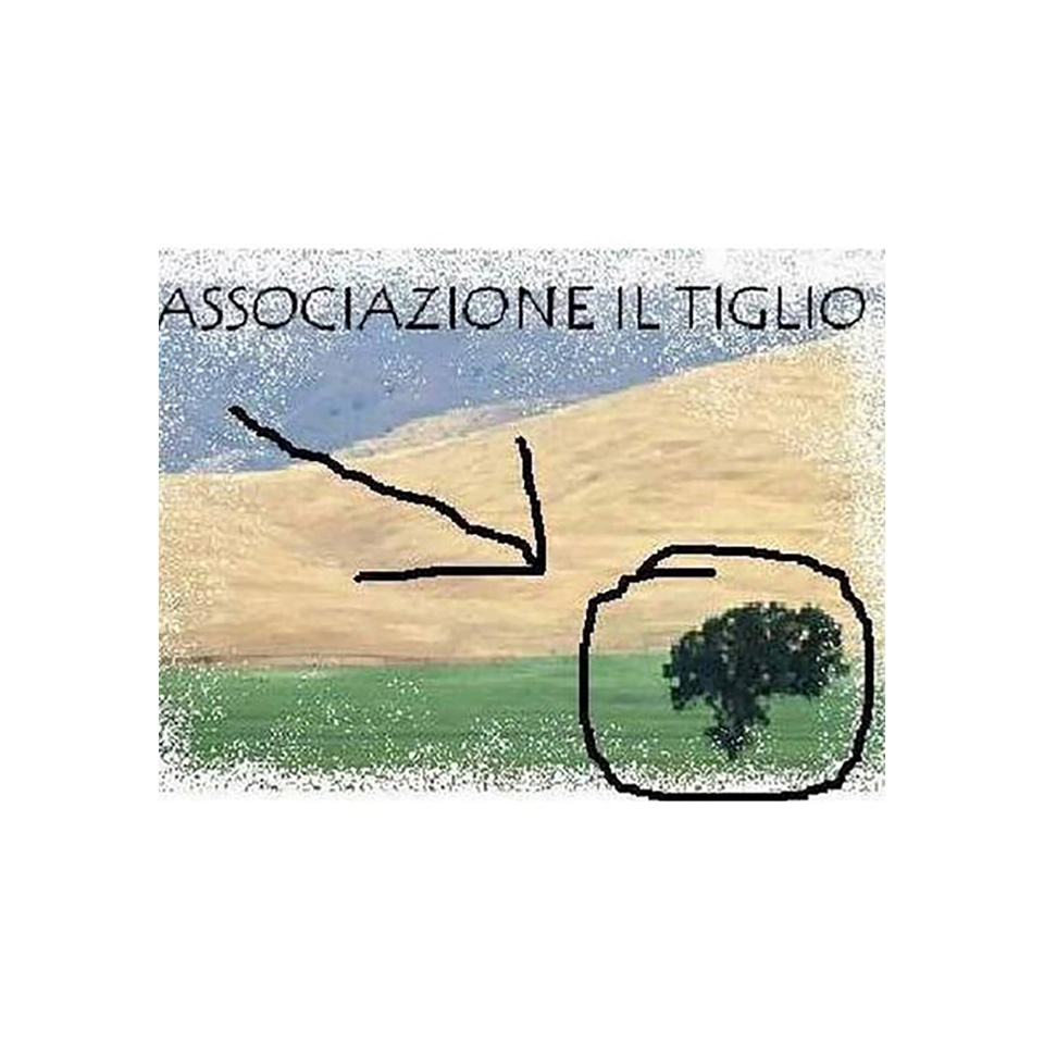 Logo dell'Associazione di Promozione Sociale Il Tiglio