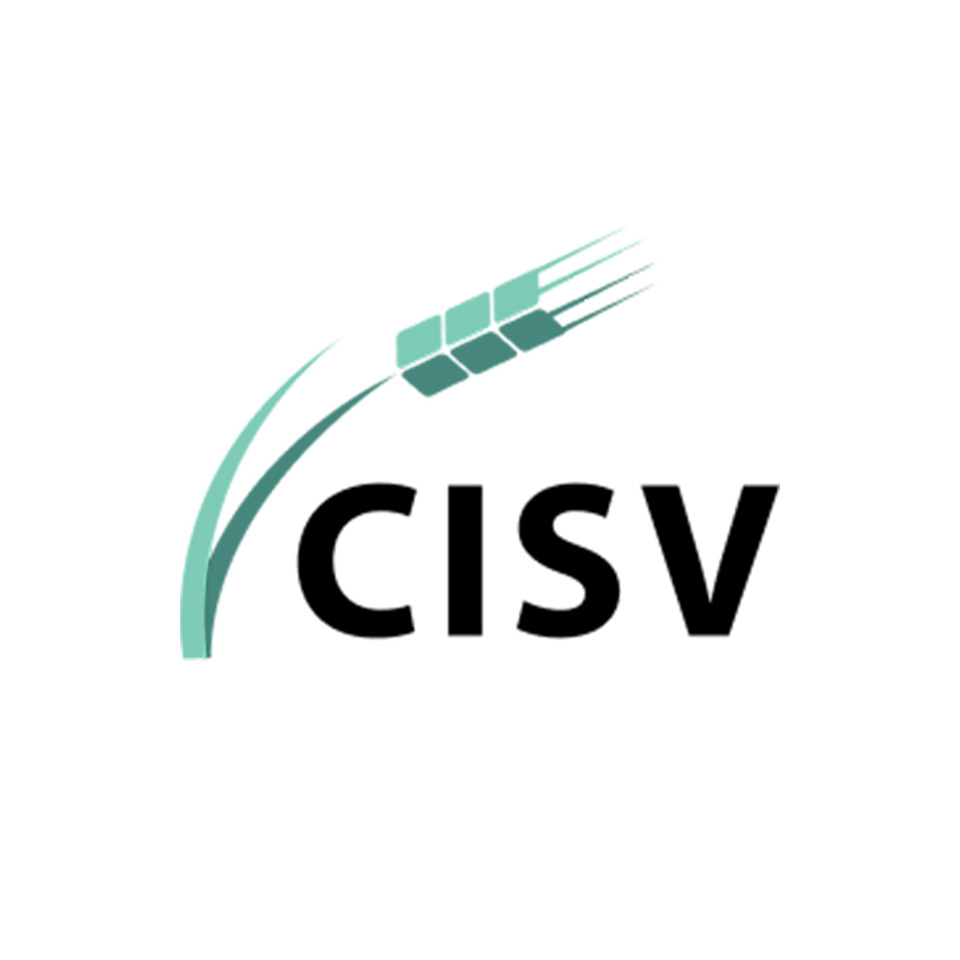Logo del CISV