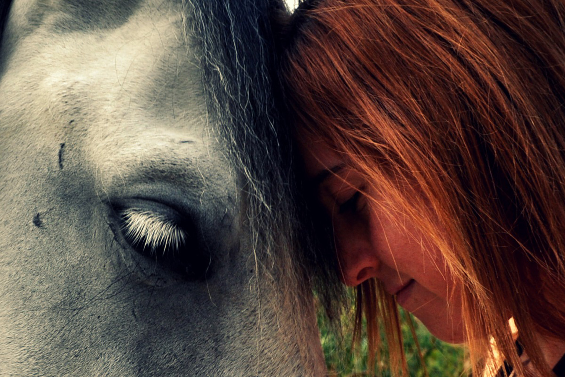 Una raggazza appoggia la fronte sulla testa di un cavallo da terapia